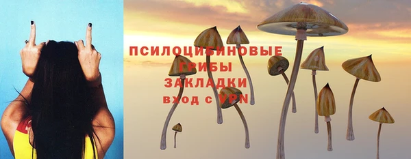 амф Алексеевка